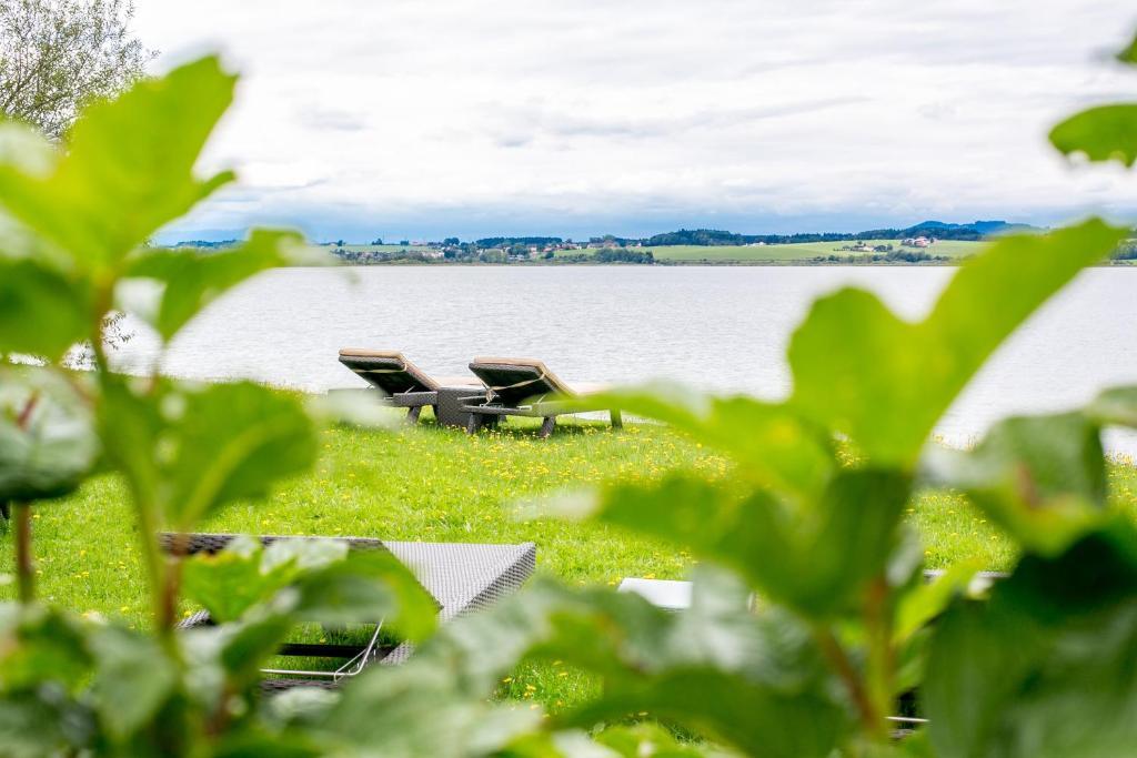 Hotel Seebrunn Am Wallersee Henndorf am Wallersee Exteriér fotografie